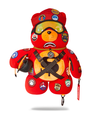 THE GLOBAL EXPEDITION MONEYBEAR TEDDYBEAR BACKPACK