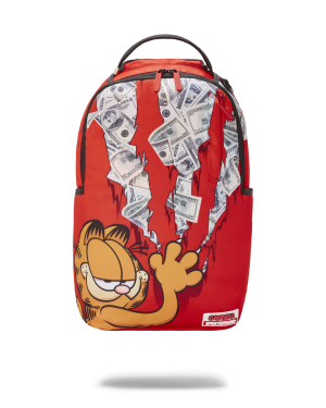 GARFIELD CAT SCRATCH DLXR