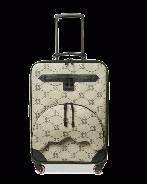 THE GETAWAY JETSETTER CARRY-ON LUGGAGE