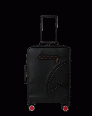 CHECKPOINT ROYALE CARRY-ON LUGGAGE
